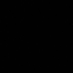 Meet your Posher, Zarah